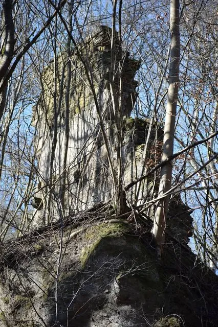 Klosterruine Tönisstein