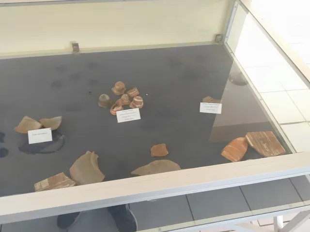 photo-1