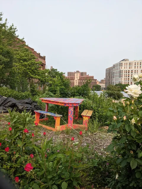 New Roots Community Farm