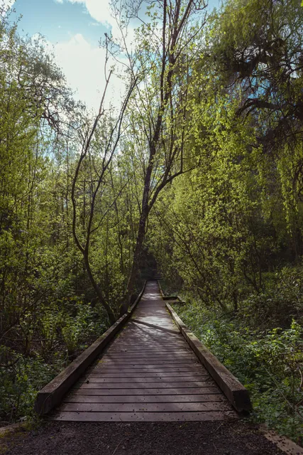 Stephens Creek Nature Park