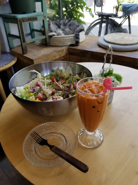 猫小院猫主题咖啡西餐