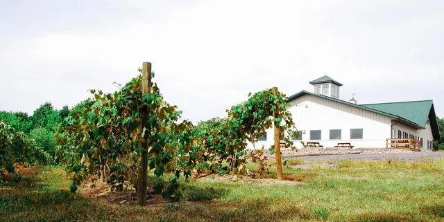 Either Oar Wine, Whiskey, & Cheese Bar