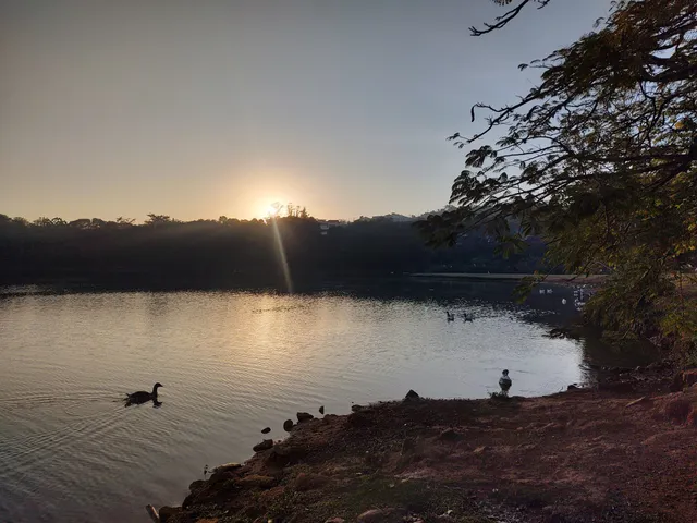 CLT - Ayrton Senna da Silva