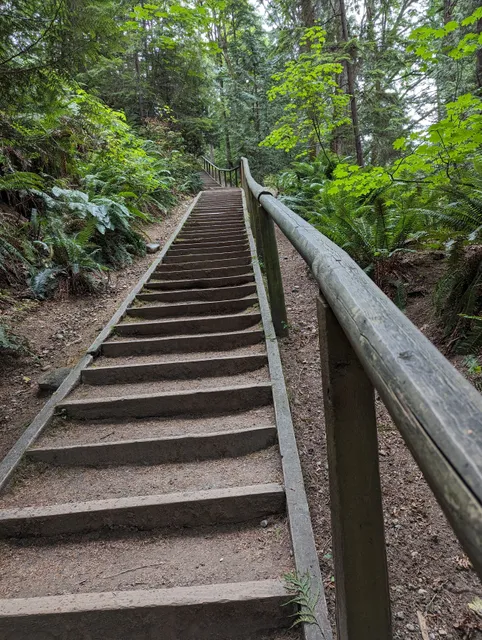 Byrne Creek Ravine Park