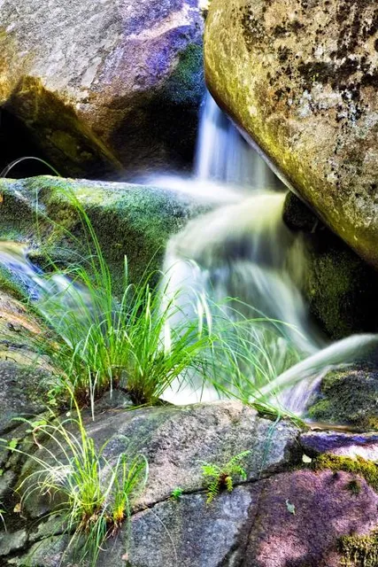 Garganta del Nuño Cojo