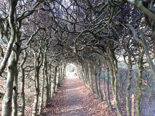 Doolhof Landgoed De Braak