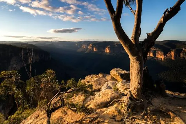 Hanging Rock Lookout