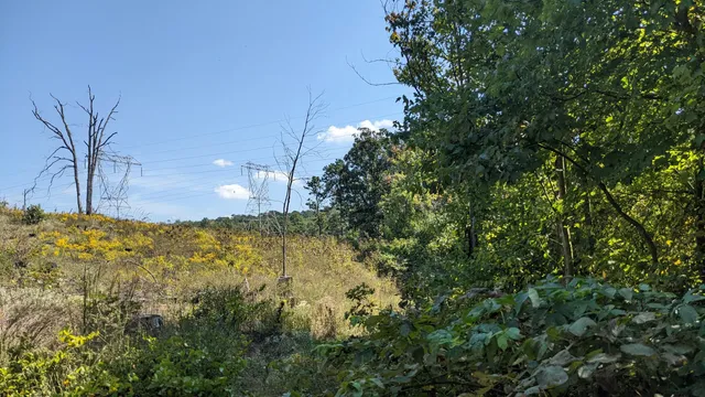 William Penn State Forest