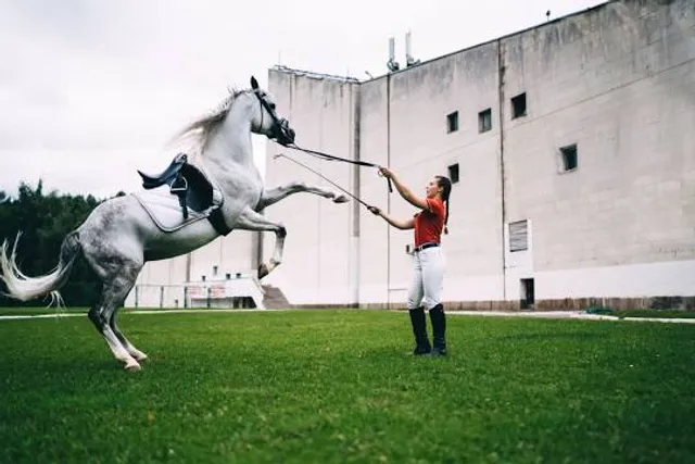 Museum of Fine Arts, Caen