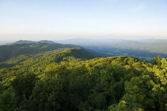 Pinnacle Mountain Fire Tower