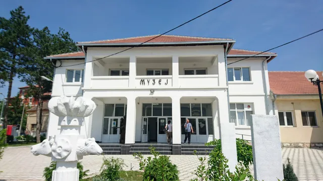 Zavičajni Muzej Homolja