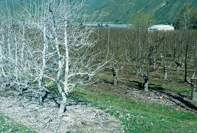 Camí de la Llúdriga