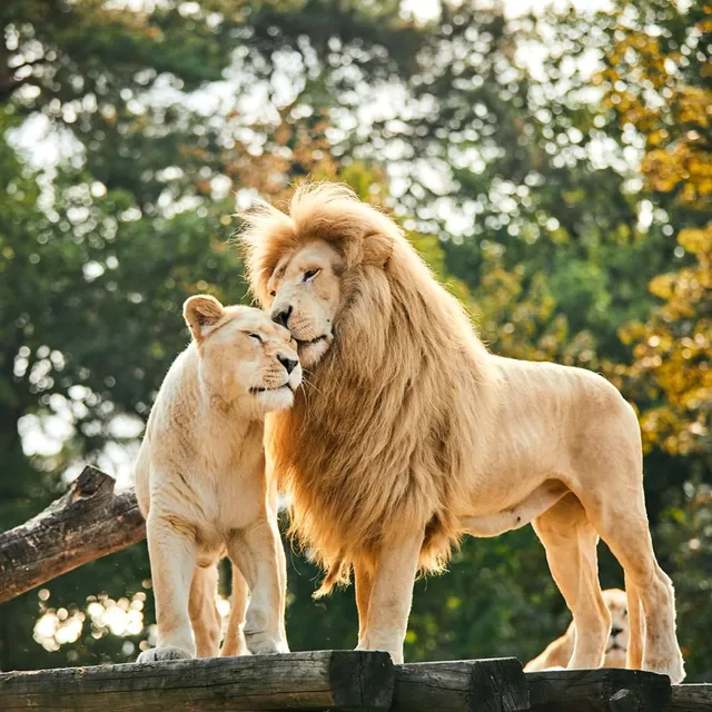 Schloß Holte-Stukenbrock