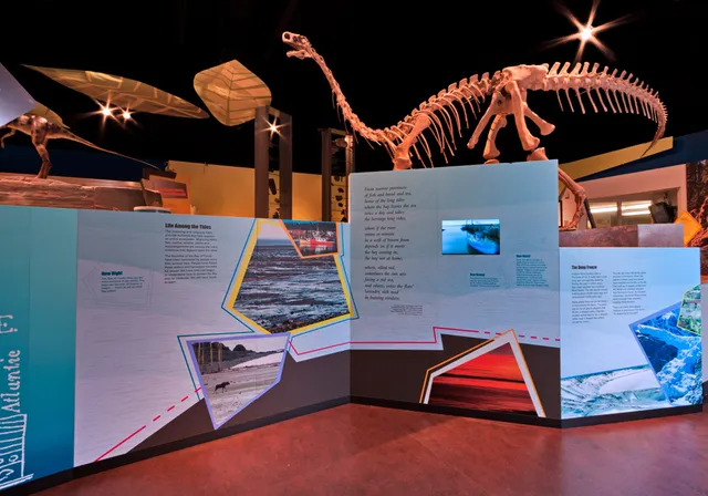 Fundy Geological Museum