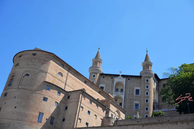 Guide Turistiche Urbino