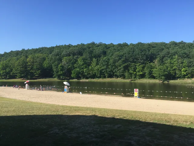 Wilcox Memorial Park