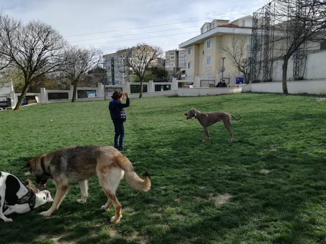 Aykut Barka Earthquake Park