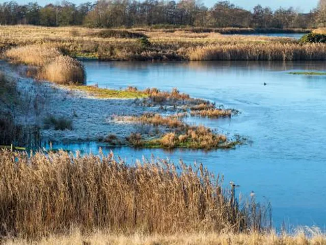 North Cave Wetlands