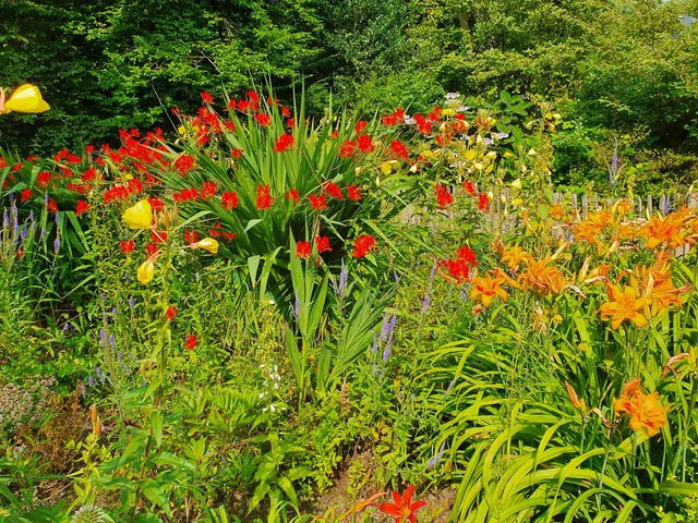 in Hamborn Botanical Garden