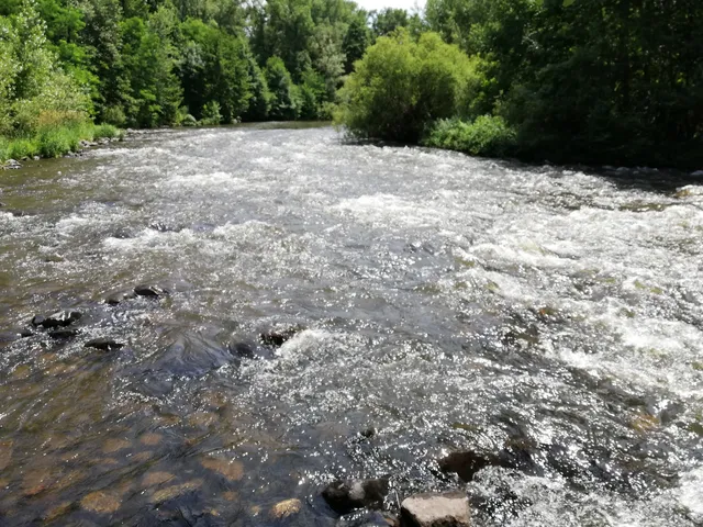 Conservatoire national du saumon sauvage