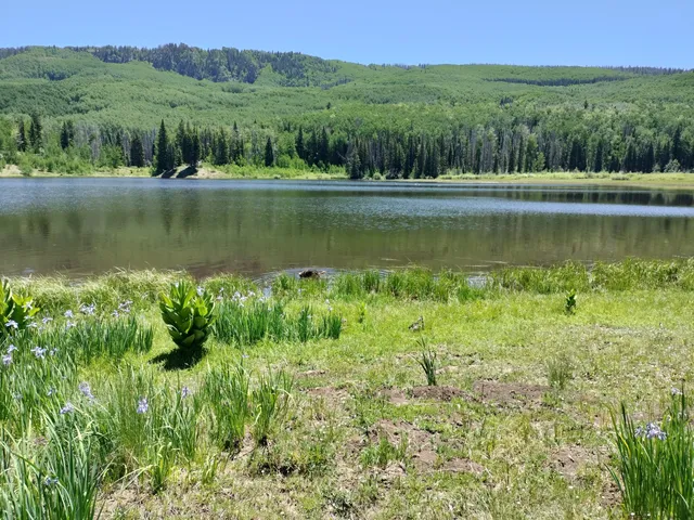 Buckles Lake Trailhead