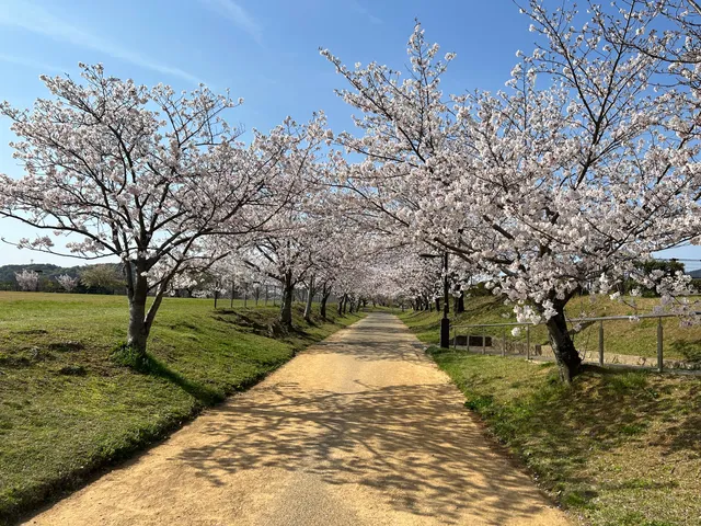 Nagasaki Higashi Park