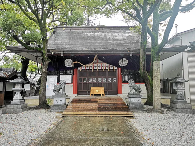 photo-1