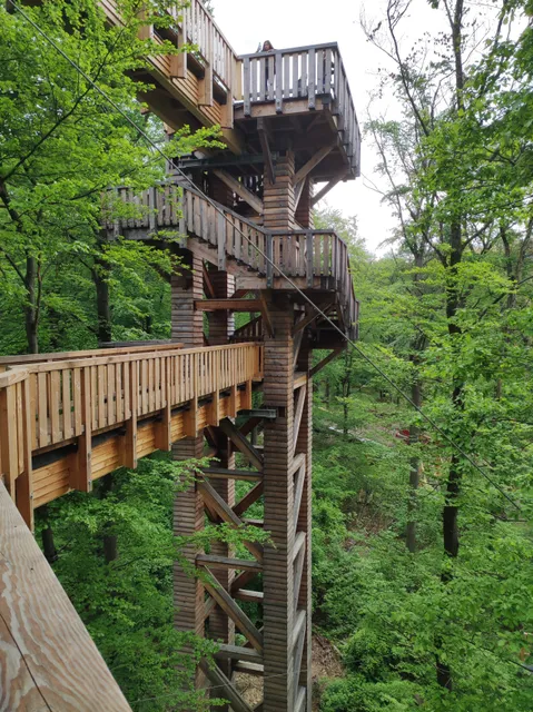 Baumwipfelweg Bad Camberg “Forest Adventures”