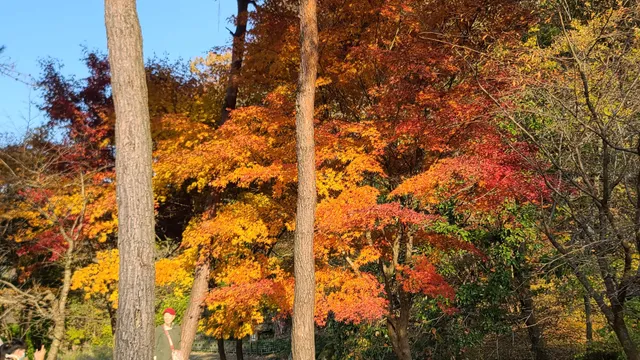 Seonunsan Provincial Park