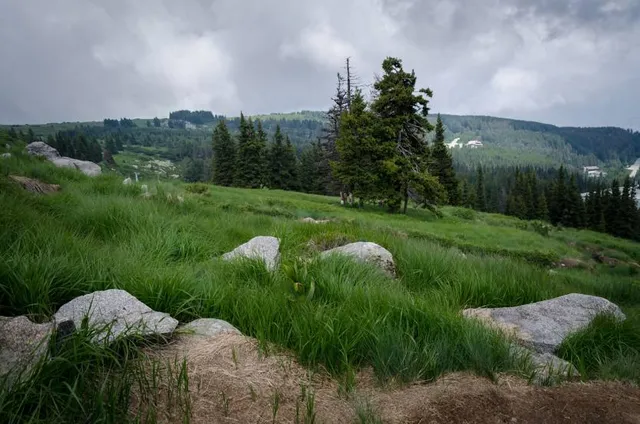 Vitosha Nature Park