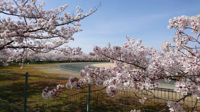 Inaminomizubenosato Park