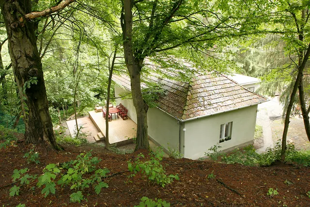 Harangvirág 36 Szálláshelyek