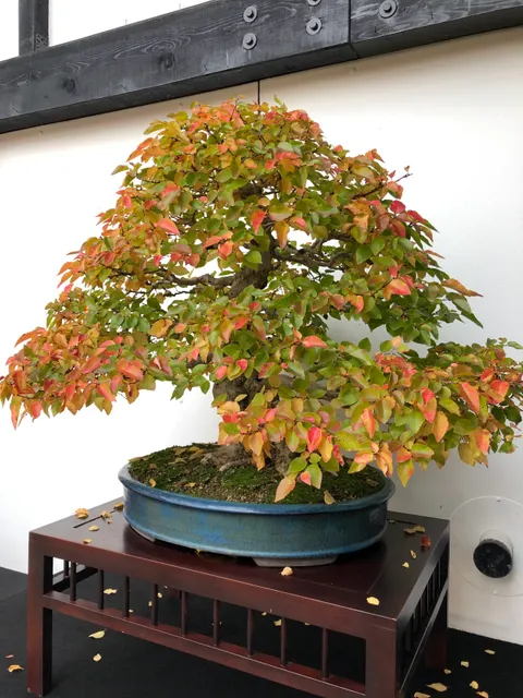 photo-1