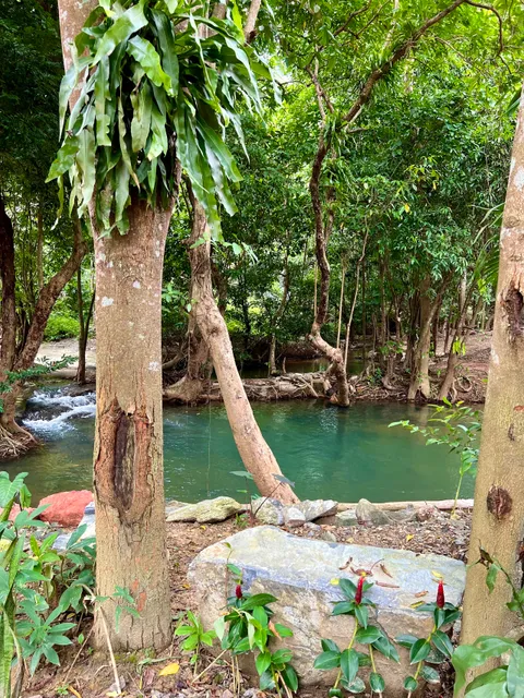 บ้านวังเข้ริเวอร์ไซด์&แคมป์ปิ้ง