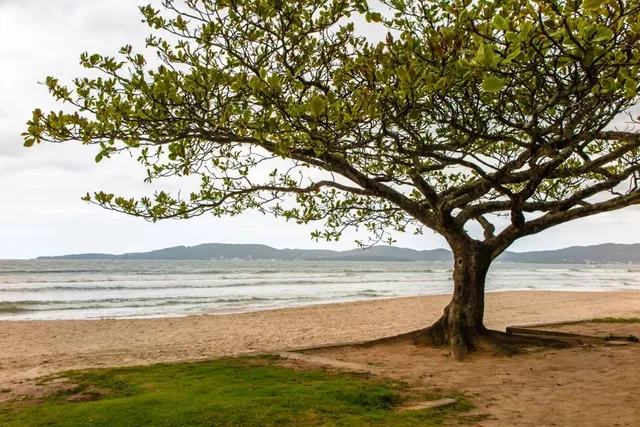 Central Beach - Itapema