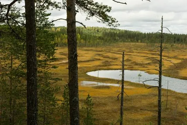 Patvinsuo National Park