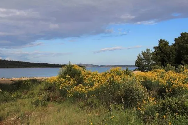 Kangaroo Viewing Trail