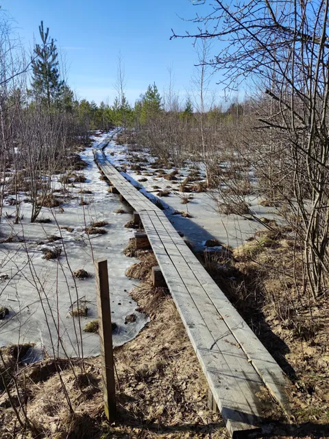 Pikalombi loodusrajad