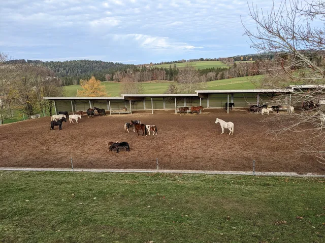 Fondation pour le cheval Le Roselet