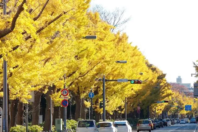 Yokohama Museum of Eurasian Cultures