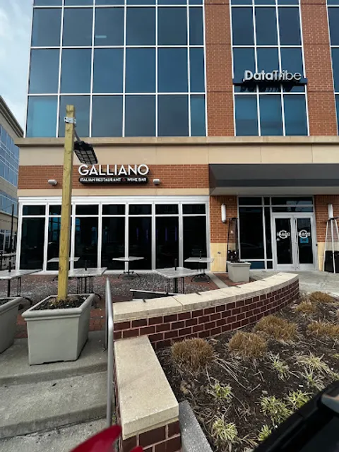 Galliano - Maple Lawn