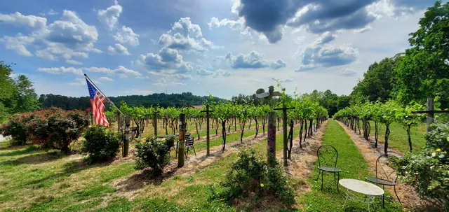 Saint Paul Mountain Vineyards