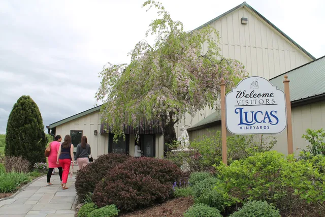 Lucas Vineyards