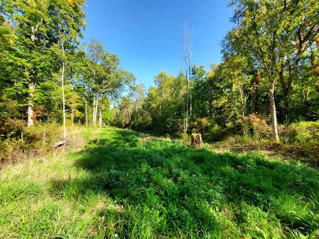 Humberstone Marsh Conservation Area