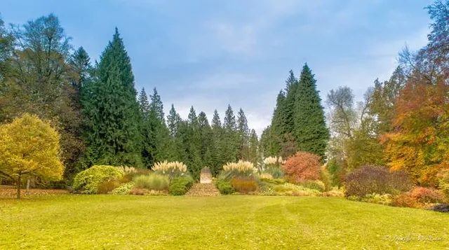 Thorp Perrow - Arboretum and Bird of Prey & Mammal Centre