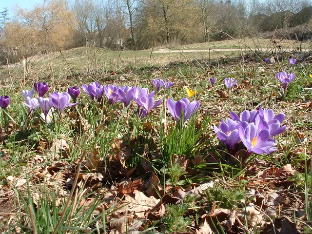 Brickfields Country Park Boxalls Lane