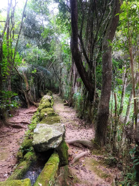 Bosque da Mãe D'Agua