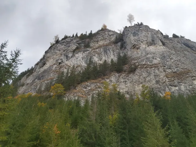 Piatra Țibăului