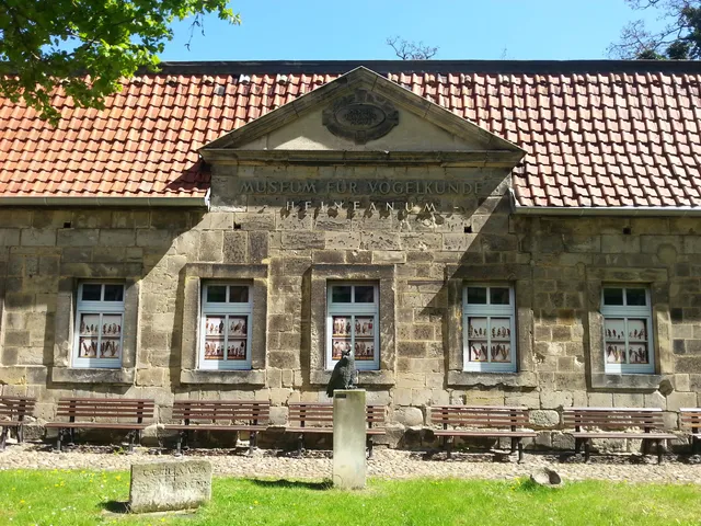 Museum Heineanum