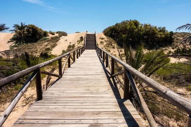 Playa de los Enebrales